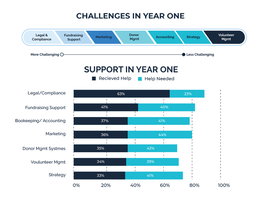 The Essential Work of Emerging Nonprofits by BryteBridge.com