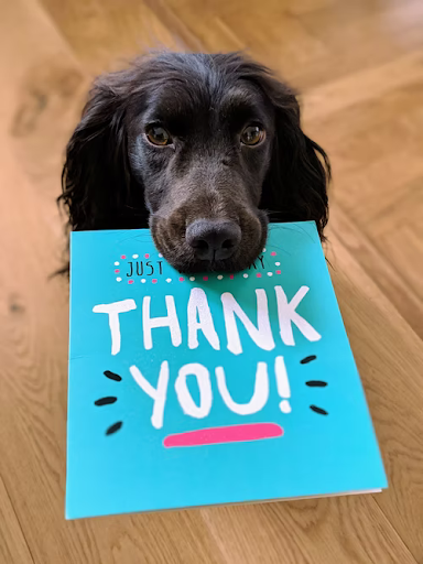 a dog holding a thank you card in its mouth