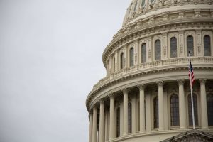 Close-up of U.S. Capitol Building, offset against a gray sky