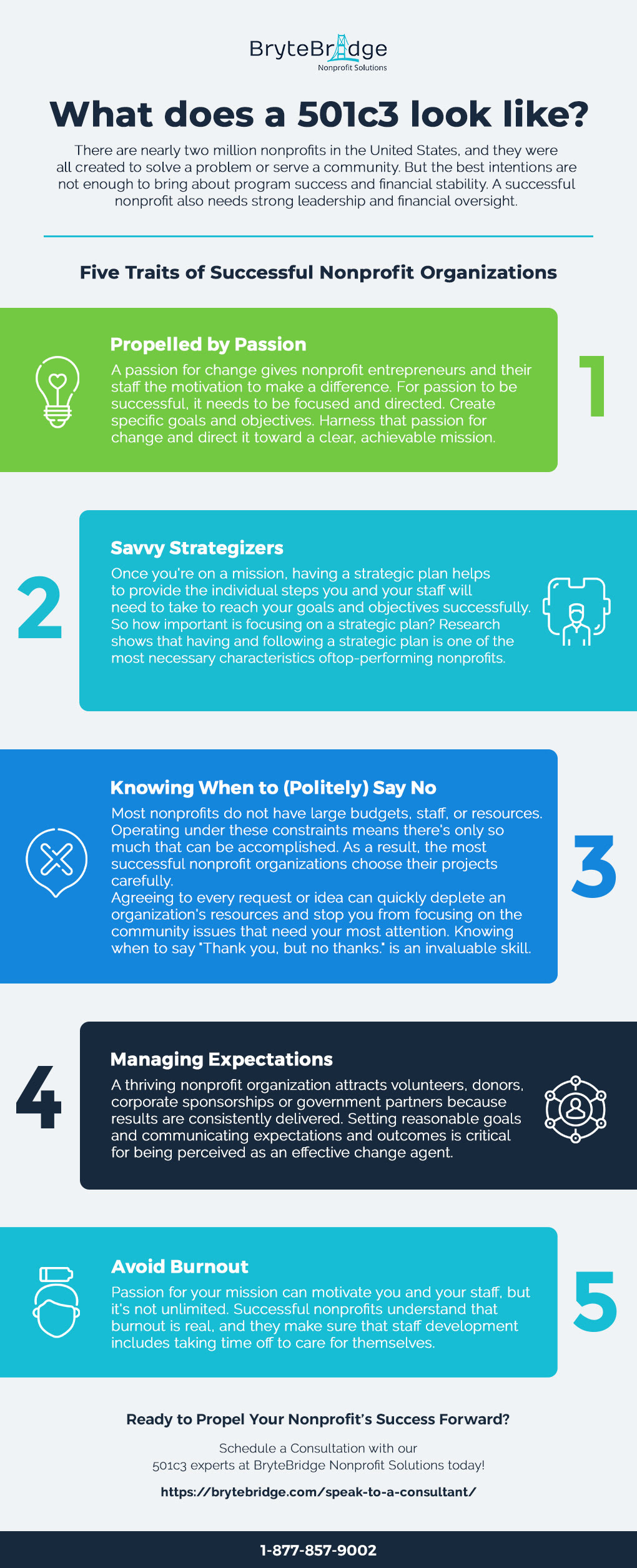 infographic what does a successful 501c3 nonprofit looks like from brytebridge