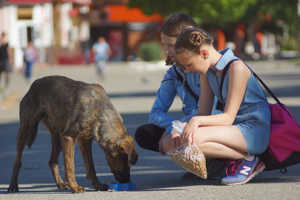 people feeding a dog for nonprofit charity