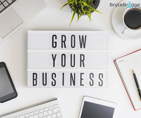 Grow your nonprofit business with BryteBridge Nonprofit Solutions